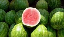 吃瓜画图,吃瓜群众视角下的社会百态图鉴