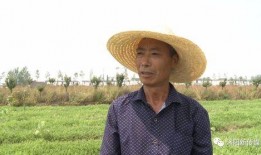 沭阳烧瓜吃,烧瓜吃，传承与创新的味道