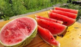 吃瓜中心今日吃瓜首页,揭秘娱乐圈最新热点事件