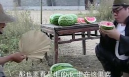 金乡吃瓜翻译,一场味蕾与视觉的盛宴