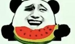 吃瓜私人,娱乐圈背后的疯狂追星现象