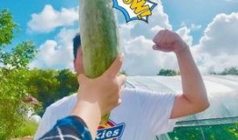 网红群众吃瓜视频,揭秘娱乐圈幕后真相