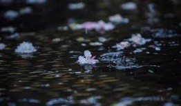 听雨吃曦瓜,一场别样的夏日时光