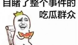 吃瓜群众幽默语句,吃瓜群众的幽默语录大盘点