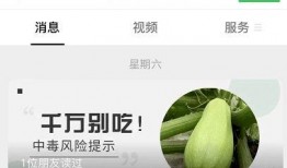 吃瓜文件病毒,一场网络传播的狂欢与反思