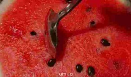 吃瓜唐十瓜,吃瓜群众的趣味生活