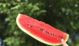 在线吃瓜是真的吃瓜,在线吃瓜，是娱乐还是真相？