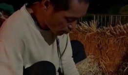 梦见父亲落魄给我吃瓜