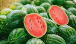 北皋视频吃瓜,揭秘网红吃瓜背后的故事