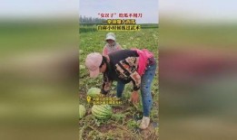 吃瓜看爆破,吃瓜群众视角下的爆破事件深度解析