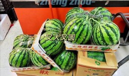 郑州同城吃瓜群,揭秘城市生活百态的“瓜田”