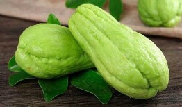 海南瓜菜吃叶子瓜怎么吃,瓜菜叶子的多样美味吃法探索