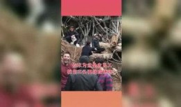 吃瓜星球院,一场星际美食盛宴的奇幻之旅