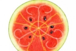 顶级吃瓜的视频,带你领略娱乐圈幕后风云