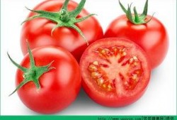 吃西红柿再吃甜宝瓜好吗,西红柿与甜宝瓜同食的饮食搭配探讨