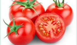 吃西红柿再吃甜宝瓜好吗,西红柿与甜宝瓜同食的饮食搭配探讨