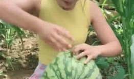 吃瓜小能手辽宁,吃瓜小能手带你领略东北美食风情