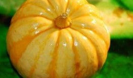 啥叫吃瓜图,网络热议背后的真相与趣味