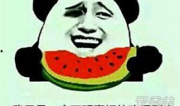 吃瓜观众甚感欣慰,精彩瞬间盘点