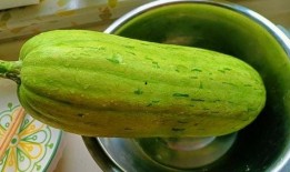 吃瓜在线官网,带你领略网络娱乐新风尚