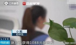进群吃瓜的视频,揭秘进群吃瓜背后的娱乐现象