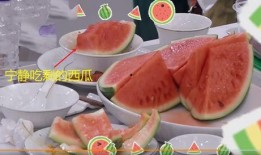 酒店现场吃瓜,一场别开生面的“吃瓜”盛宴