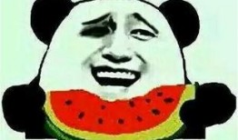 吃瓜日群7355292,一场全民参与的趣味盛宴