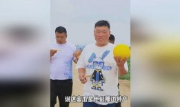 梦见和兄弟吃瓜,一场梦境中的兄弟盛宴