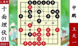 吃瓜象棋改编,趣味横生的棋艺新体验