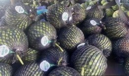 兰州冬天吃大瓜,暖意盎然的大瓜盛宴