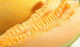 吃哈密瓜不甜,为何吃哈密瓜不甜之谜
