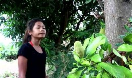 农村姑娘吃蜜瓜,农村姑娘的蜜瓜生活