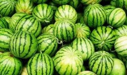 阿白酱吃瓜,揭秘娱乐圈幕后故事