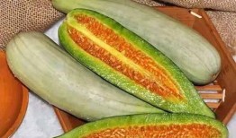 侯府吃瓜日常21,揭秘21世纪宫廷里的吃瓜日常