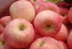 广州疫情女吃瓜,网络热议背后的真相与反思