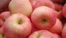 广州疫情女吃瓜,网络热议背后的真相与反思