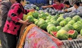 在小区吃瓜,小区里的欢乐时光