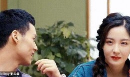 刘老板吃瓜2,揭秘娱乐圈背后的秘密与真相