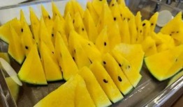 九万人吃瓜原因,揭秘吃瓜背后的社会现象与心理动机