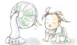 吃瓜吹风扇,吃瓜吹风扇，畅享清凉一夏