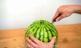 长葛吃瓜视频,揭秘当地特色美食背后的故事