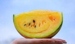 吃瓜组的瓜保真吗,真相与谣言的较量