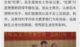 吃瓜群众刘某,揭秘娱乐圈背后的那些事儿