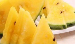 羽中吃瓜,揭秘娱乐圈背后的那些事儿