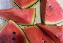 短剧圈子最新吃瓜