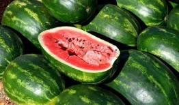 吃瓜的危害图片,警惕这些危害你的健康隐患