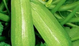 乘务吃瓜,揭秘航班上的那些“吃瓜”趣事