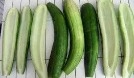 阿白酱吃瓜,揭秘娱乐圈幕后故事