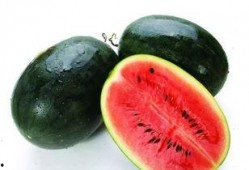 广西交院最近吃瓜,校园“吃瓜”事件掀波澜