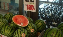 九万人吃瓜原因,揭秘吃瓜背后的社会现象与心理动机